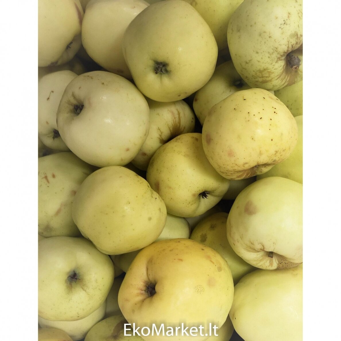 Antaniniai obuoliai, 1 kg. 1