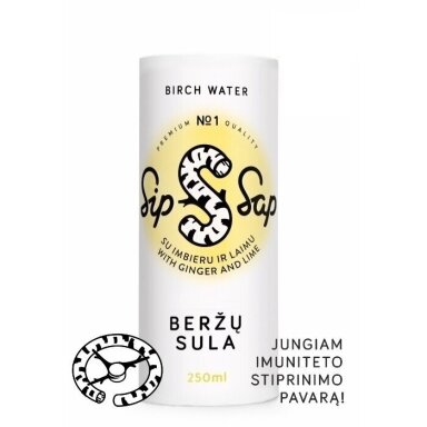 Beržų Sula, su Imbieru ir Laimu SIP SAP, 250 ml.