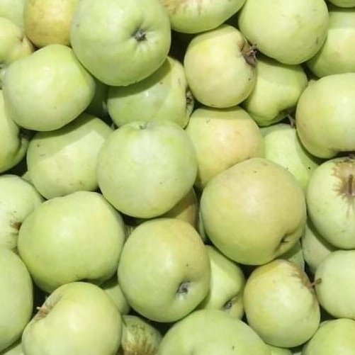 Antaniniai obuoliai, 1 kg. Antaniniai obuoliai, 1 kg.