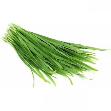 Narcizalapiai svogūnai, 100 gr.