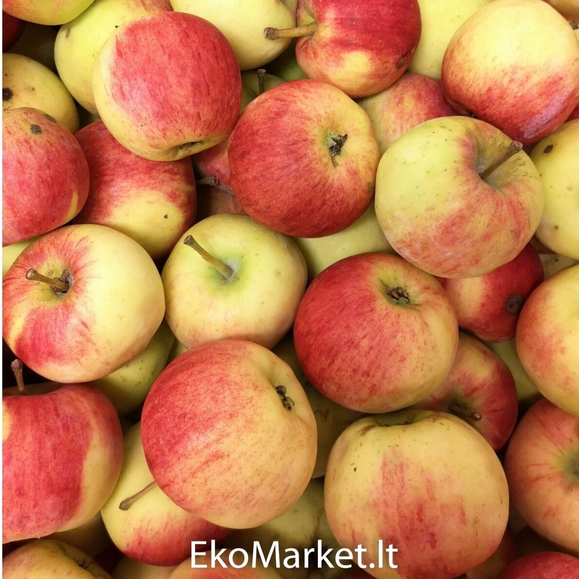 EKO Obuoliai "Auksis", 1 kg.* EKO Obuoliai "Auksis", 1 kg.*
