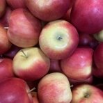 Obuoliai "Jonaprince", 1 kg.