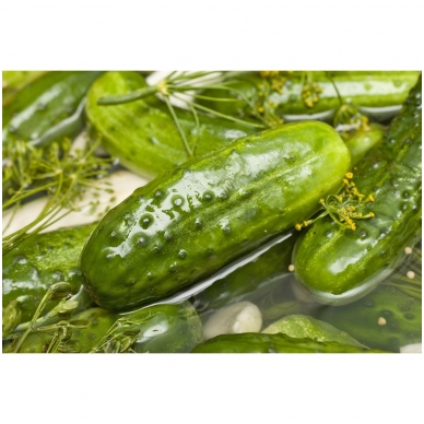 Rauginti agurkai, V. Juškos 600 g Rauginti agurkai, V. Juškos 600 g