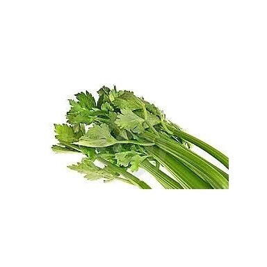 Salierai stiebiniai apie 700 gr.
