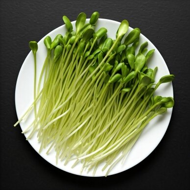 Saulėgrąžų daigai, 50g Saulėgrąžų daigai, 50g