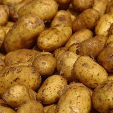 EKO Vidutinės bulvės, 1 kg.*